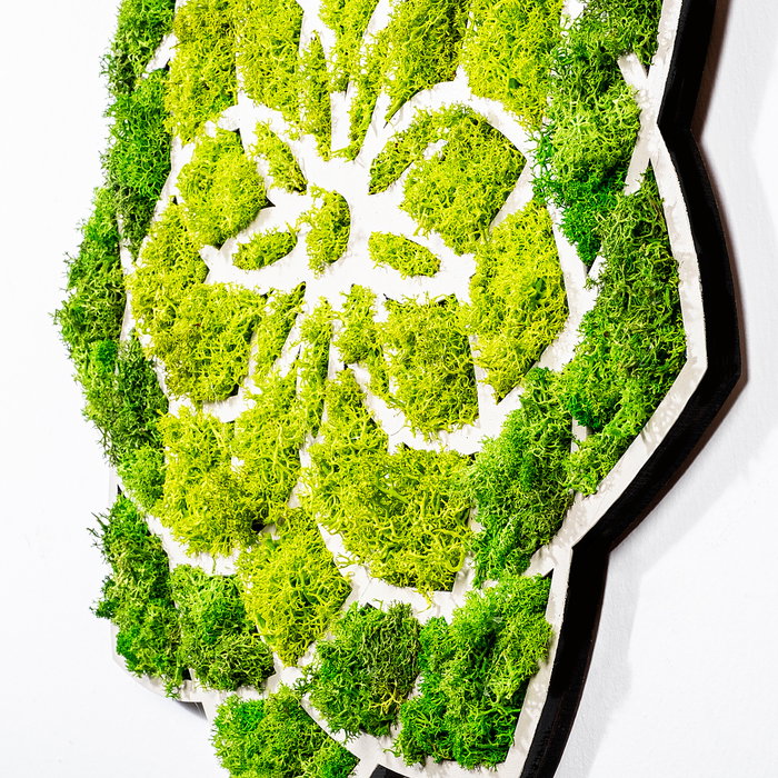 Wallity Daisy Accesorio decorativo de pared Verde y Blanco